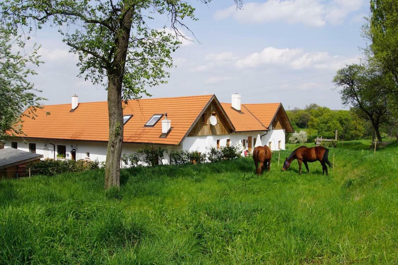 Wundervoll Eben - Chalets & Plaetze Voller Wunder - Notschkerl & Feinis Waasen Ngoại thất bức ảnh